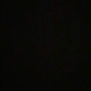 Meet your Posher, Damaris